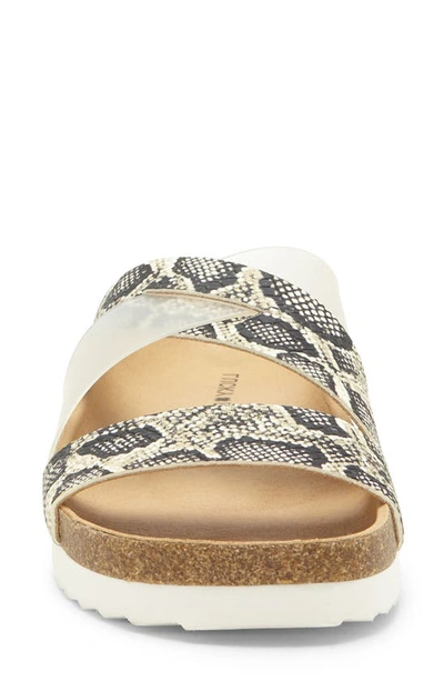 Shop Lucky Brand Hafina Slide Sandal In Snake Print Leather