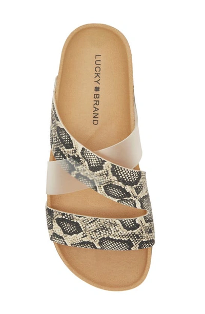 Shop Lucky Brand Hafina Slide Sandal In Snake Print Leather