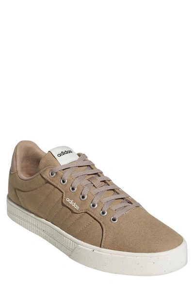 Adidas Originals Daily 3.0 Eco Lace-up Skate Sneaker In Chalky Brown/cloud  White | ModeSens