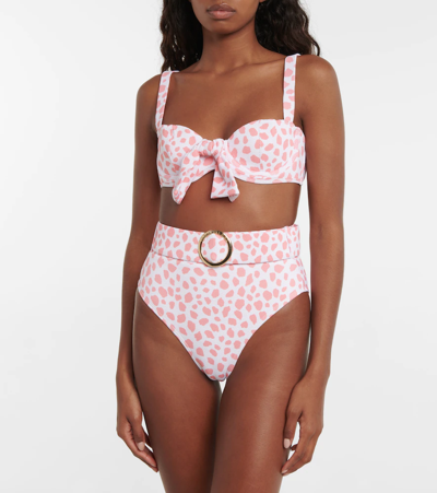 Shop Alexandra Miro Ursula High-rise Bikini Bottoms In Leo Print Pink White