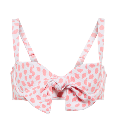Shop Alexandra Miro Clara Printed Bikini Top In Leo Print Pink White