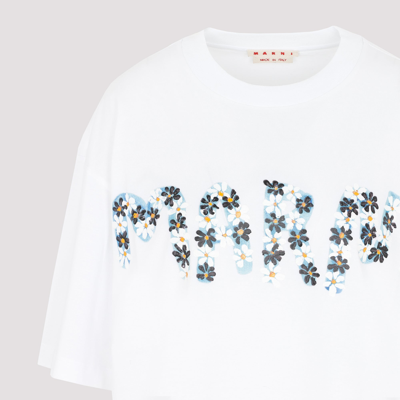 Shop Marni Cotton T-shirt Tshirt In White