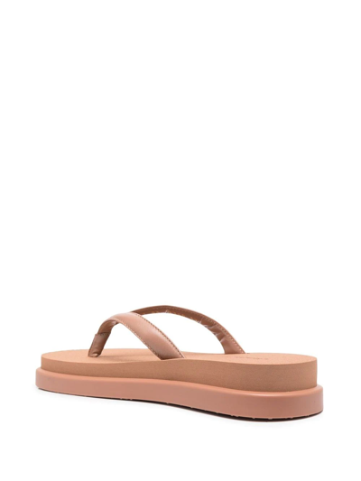 Shop Gianvito Rossi Flatform-sole Thong-strap Flip Flops In Brown