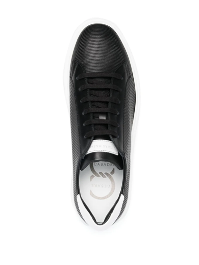 Shop Casadei Two-tone Lace-up Sneakers In Schwarz