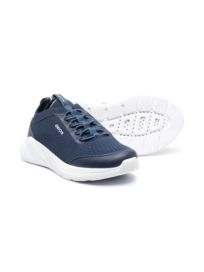 Geox Sprintye Knit-detail Sneakers In Blue