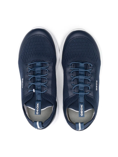 Geox Sprintye Knit-detail Sneakers In Blue