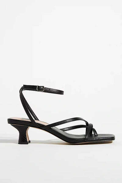 Shop Dolce Vita Baylor Kitten Heels In Black