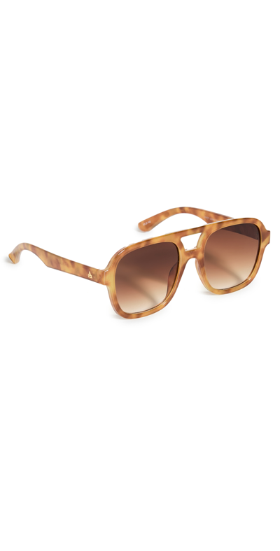 Shop Aire Whirlpool Sunglasses In Vintage Tort