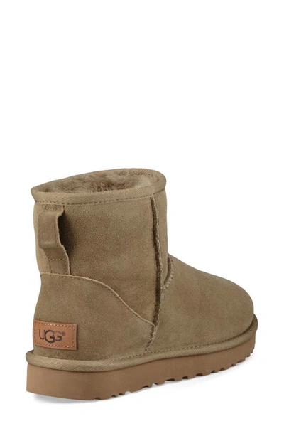 Shop Ugg Classic Mini Ii Genuine Shearling Lined Boot In Antelope Suede