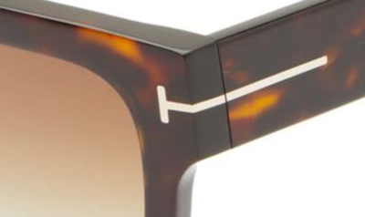 Shop Tom Ford Fausto 53mm Geometric Sunglasses In Dark Havana / Gradient Brown