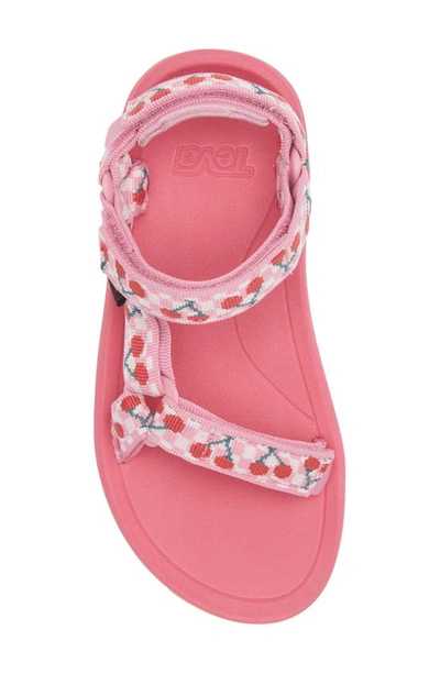 Shop Teva Hurricane Xlt 2 Sandal In Picnic Cherries Rose Bloom