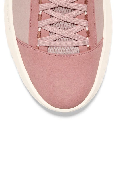 Shop Cole Haan Generation Zerogrand Ii Sneaker In Rosette/ Peach Whip