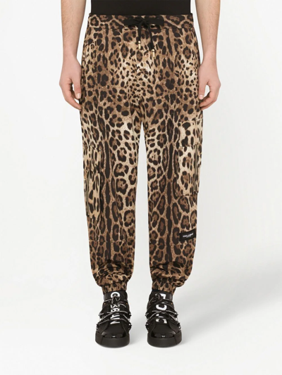 Dolce & Gabbana Cargo-style Jogging Pants With Leopard Print In Braun