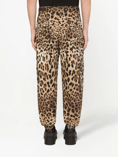 Shop Dolce & Gabbana Leopard-print Track Pants In Braun