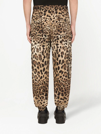 Dolce & Gabbana Cargo-style Jogging Pants With Leopard Print In Braun