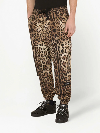 Dolce & Gabbana Cargo-style Jogging Pants With Leopard Print In Braun
