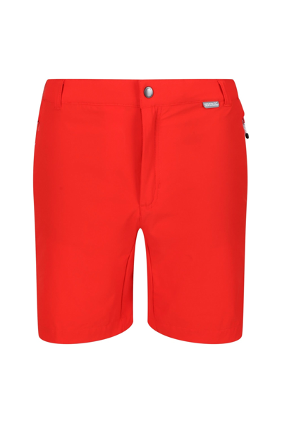 Shop Regatta Mens Mountain Ii Shorts In Red