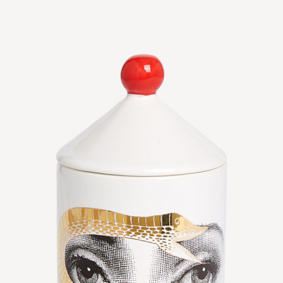 Shop Fornasetti Talvolta Scented Room Spray Peccato Originale Décor Frutto Proibito Fragrance In Multicolour