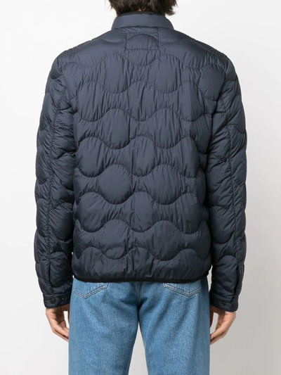 Shop Woolrich Sierra Contrast-trimmed Puffer Jacket In Blue