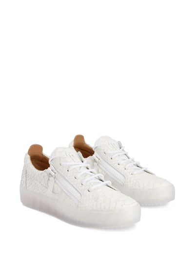 Giuseppe Zanotti Gail Snakeskin-textured Sneakers In White