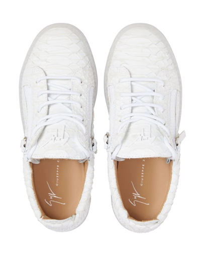 Giuseppe Zanotti Gail Snakeskin-textured Sneakers In White