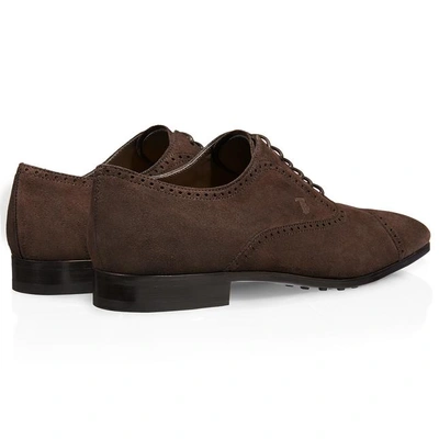 Shop Tod's Suede Lace-up In Brown