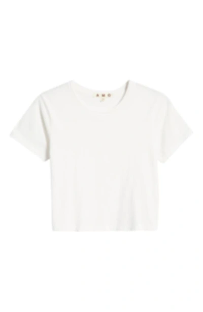 Shop Amo Babe Cotton T-shirt In White