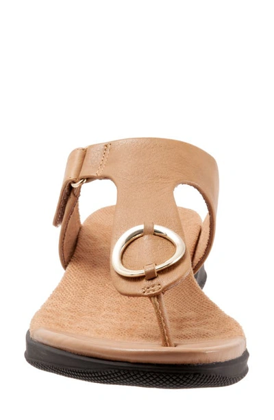 Shop Softwalk Talara Leather Sandal In Tan