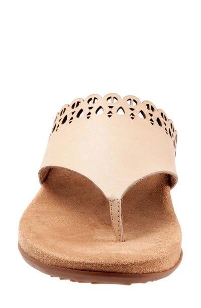 Shop Softwalk Bethany Leather Sandal In Ivory