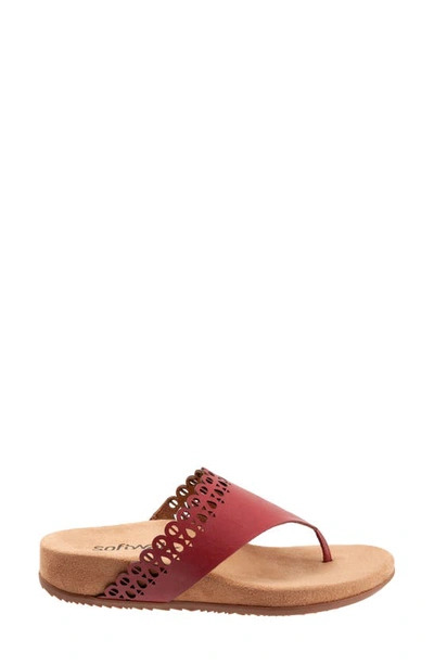 Shop Softwalk Bethany Leather Sandal In Dark Red