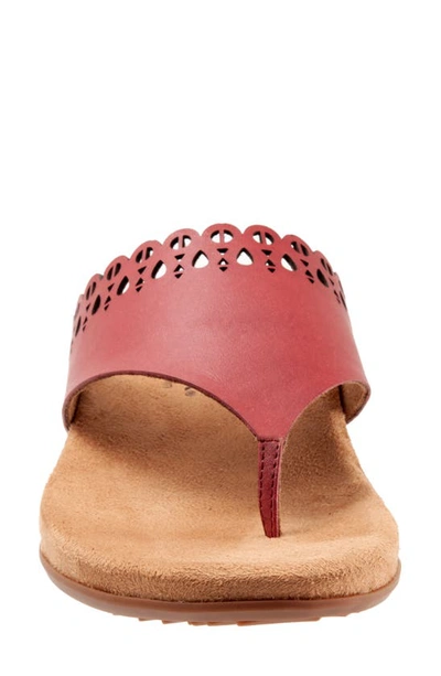 Shop Softwalk Bethany Leather Sandal In Dark Red