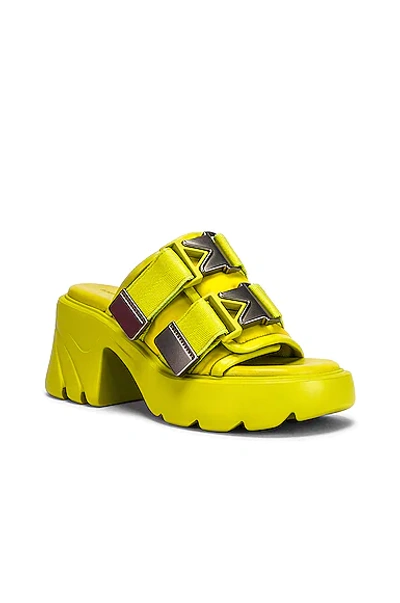 Shop Bottega Veneta Flash Buckle Mule Sandals In Kiwi