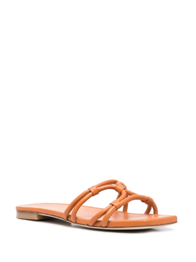 Stuart Weitzman Strappy Square-toe Slides In Orange