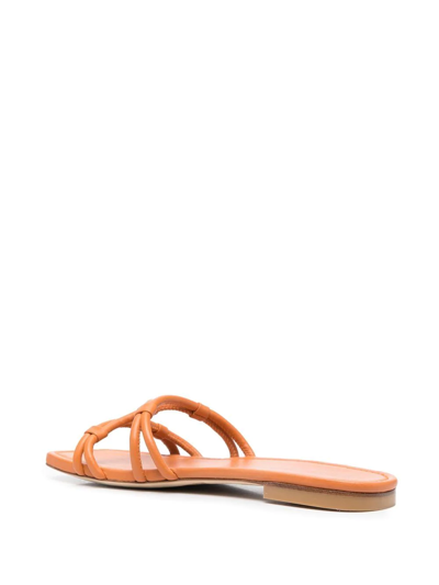Stuart Weitzman Strappy Square-toe Slides In Orange