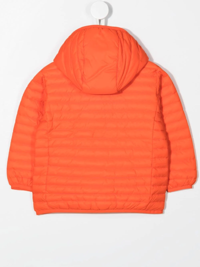 Shop Save The Duck Hooded Zip-up Quilted Jacket In Orange