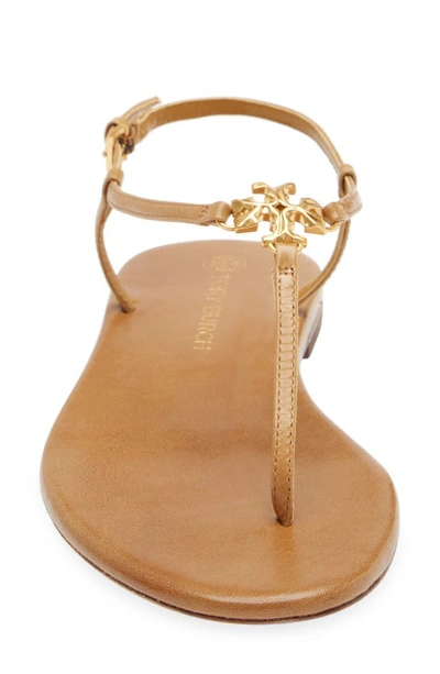 Shop Tory Burch Capri Ankle Strap Sandal In Toasted Bark