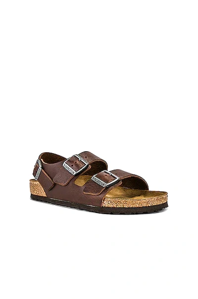 Birkenstock Milano Regular Sandal Vintage Wood Roast In Vintage Roast