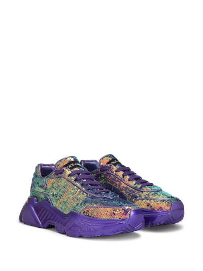 Shop Dolce & Gabbana Daymaster Low-top Sneakers In Purple