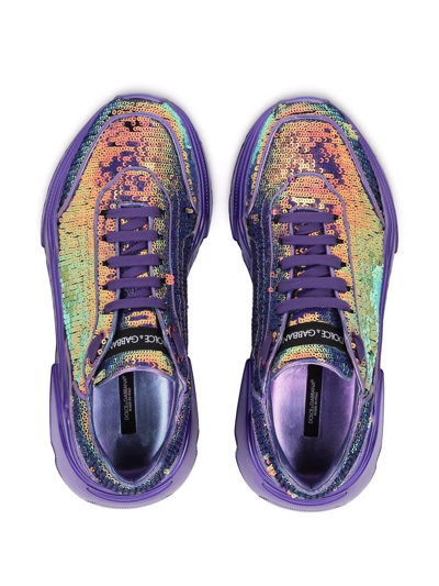 Shop Dolce & Gabbana Daymaster Low-top Sneakers In Purple