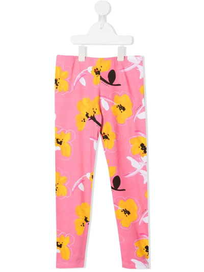 Shop Marni Floral-print Leggings In Pink