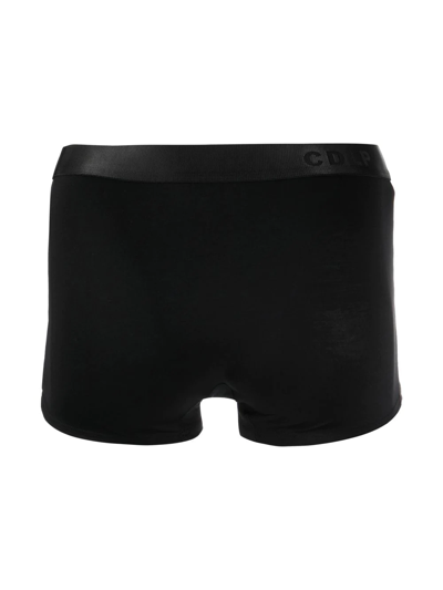 Shop Cdlp Logo-waistband Boxers In Black
