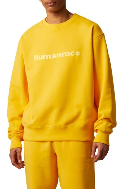 Shop Adidas Originals X Humanrace Cotton Sweatshirt In Bold Gold