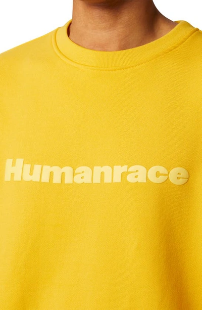 Shop Adidas Originals X Humanrace Cotton Sweatshirt In Bold Gold