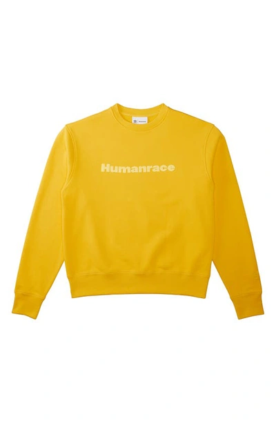 Shop Adidas Originals X Humanrace Cotton Sweatshirt In Bold Gold