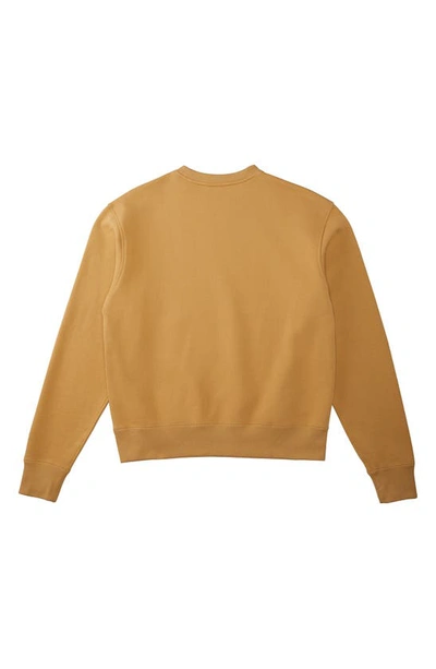 Shop Adidas Originals X Humanrace Cotton Sweatshirt In Golden Beige