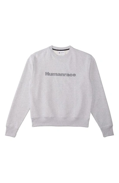 Shop Adidas Originals Adidas X Pharrell Williams Humanrace Hoodie In Light Grey Heather