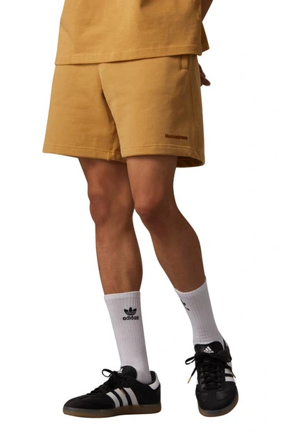 Shop Adidas Originals Adidas X Pharrell Williams Humanrace Sweat Shorts In Golden Beige