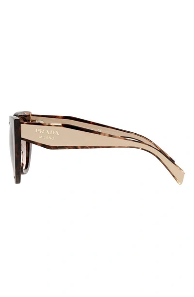 Prada Eyewear Cat-eye Sunglasses In Caramel Tortoise/brown Gr