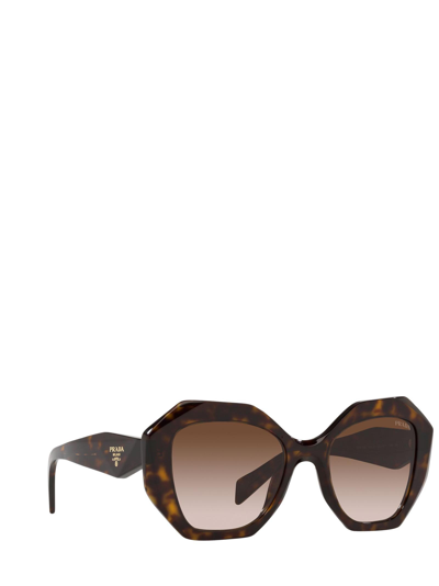 Shop Prada Pr 16ws Tortoise Female Sunglasses