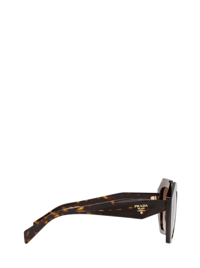 Shop Prada Pr 16ws Tortoise Female Sunglasses